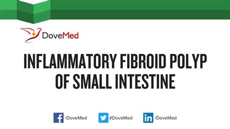 Inflammatory Fibroid Polyp Of Small Intestine DoveMed