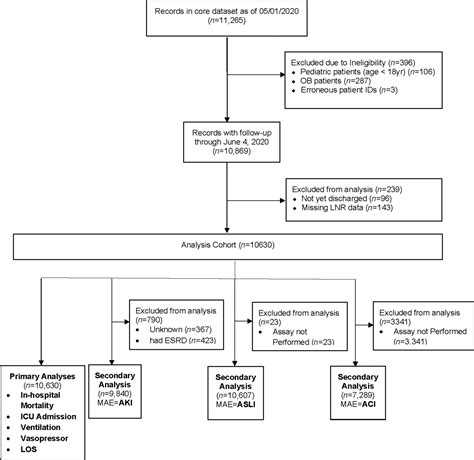Sex Based Differences In COVID Outcomes Journal Of Women S Health