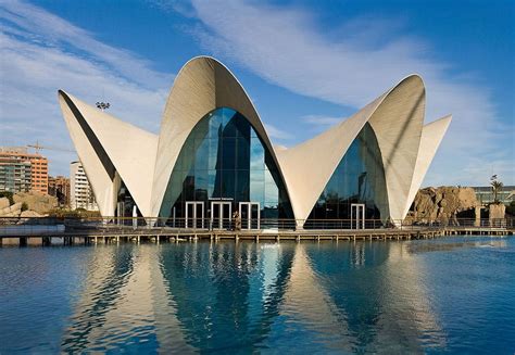 Una Mirada A La Ciudad De Las Artes Y Las Ciencias De Valencia