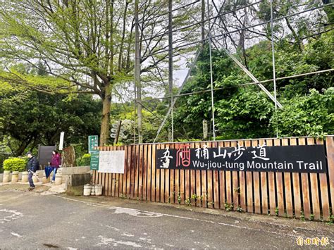 桃園》五酒桶山 打造全市首條山林手作步道 生活 自由時報電子報