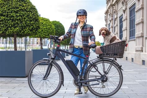 Quelles sont les 4 meilleures marques de vélo électrique