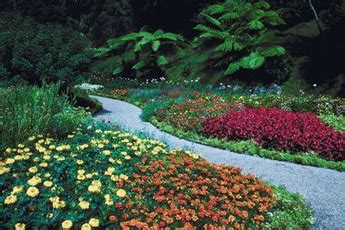 Дачные дорожки