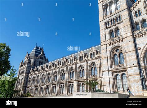 National History Museum in London Stock Photo - Alamy