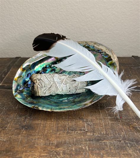 Abalone Shells: Sacred Tools for Smoke Cleansing