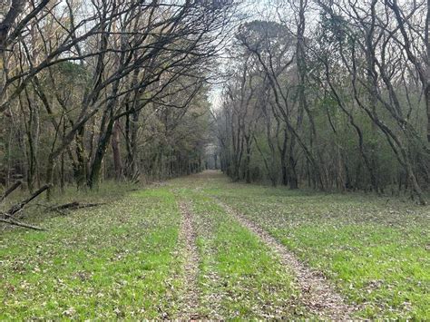63 Acres Of Land For Sale In Coosada Alabama Landsearch