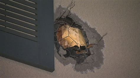 'Mythbusters' Experiment Goes Wrong -- Cannonball RIPS Through Homes