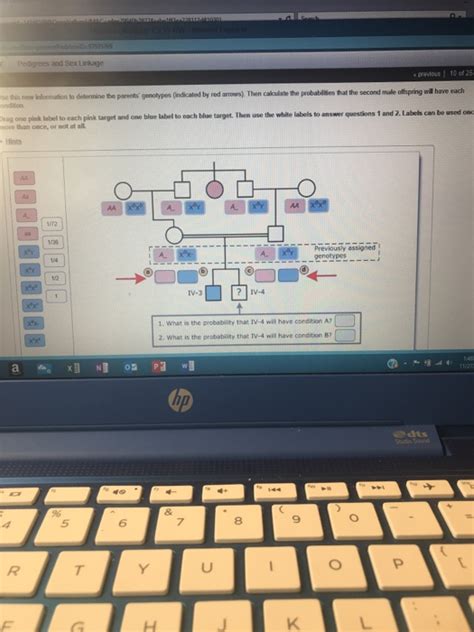 Solved Pedigrees And Sex Linkage Previous Of E This Chegg