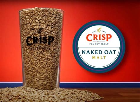 Crisp Crushed Naked Oat Malt Dark Rock Brewing