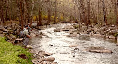 Best Trout Fishing in WV | Fee Fishing in West Virginia