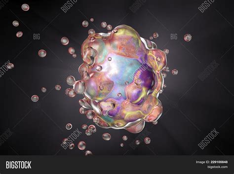 Cell Apoptosis Image And Photo Free Trial Bigstock