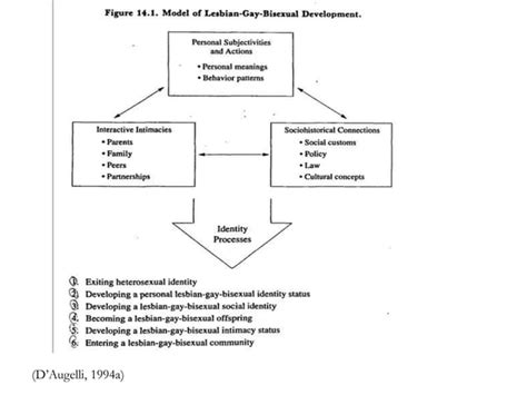 D Augelli S Theory Of Lesbian Gay And Bisexual Development PPTX
