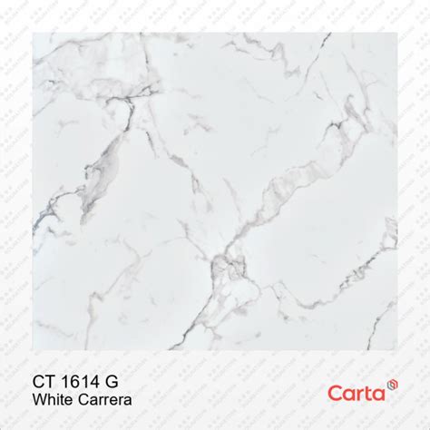 Hpl Carta Ct G White Carrera