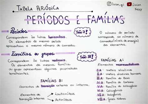 Qual A Principal Característica - Qual é A Principal Característica - MAGEDU
