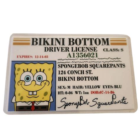 Bikini Bottom Drivers License Sponge B And Patrick 2 Sided Quality