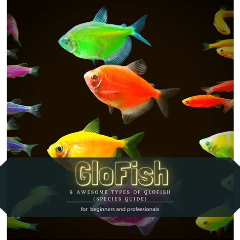 Buy GloFish: 6 Awesome Types of GloFish (Species Guide) Online at ...
