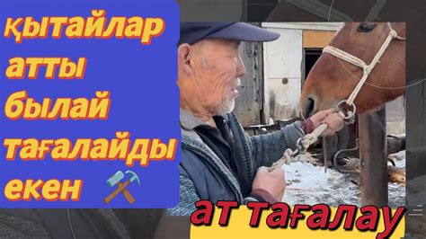 ҚЫТАЙЛАР АТТЫ БЫЛАЙ ТАҒАЛАЙДЫ ЕКЕН ⚒️ | АТ ТАҒАЛАУ - YouTube