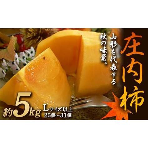 ふるさと納税 山形県 《先行予約 令和6年度産》庄内柿 約5kg Lサイズ以上 Fsy 0182 5632972ふるさとチョイス