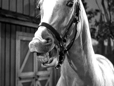 The Frolicking Gadfly: Hey Rudy Giuliani! . . . Mr. Ed Wants His Teeth ...