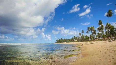 Temperatura Na Praia Do Forte - Clima e temperatura na Praia do Forte - 2025 - Dicas da Bahia
