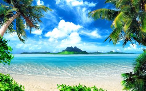 beach theme wallpaper 4