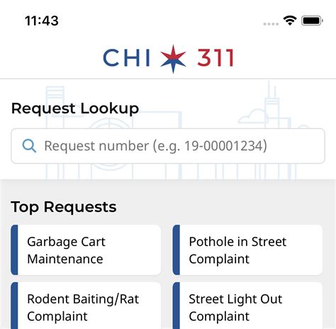CHI311