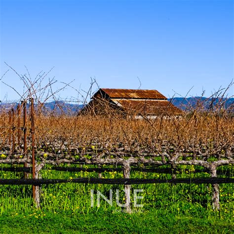 INUE Universidad y Preparatoria Tijuana Ensenada Mexico