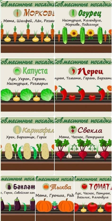 Pin by Татьяна on Огород | Vegetable garden diy, Vegetable garden ...