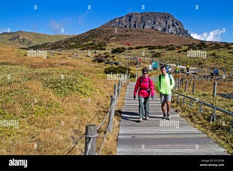 Hikers Of The Slopes Of Hallasan South Koreas Highest Mountain Stock