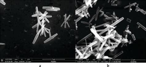 Zno Nanowires Growth Direction And Parameters Affecting Their Surface