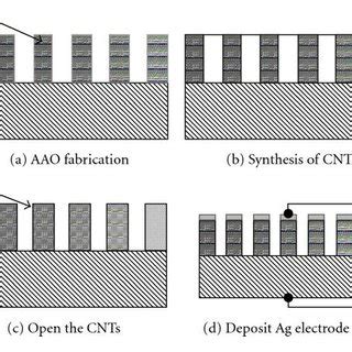 Schematics Of Sensor Fabrication Process A Synthesis Of Anodic