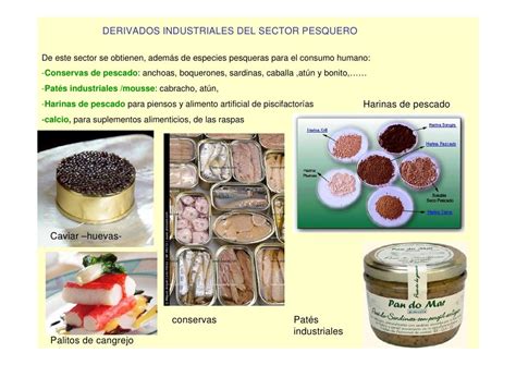 Substantivos Derivados De Mar