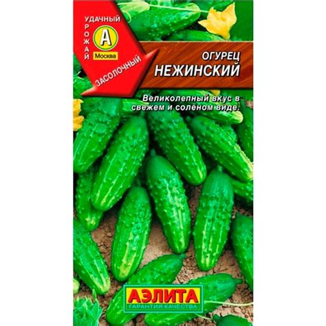 Огурец Нежинский из Семена Огурцов 20руб.
