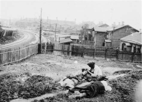 Anne Applebaum: Red Famine review - hope around a heart of darkness