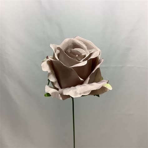 Cm Single Open Rose Wire Pick Nude Village Green