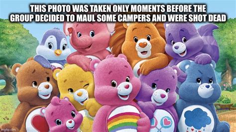 share bear memes  bear memes    kind  bears