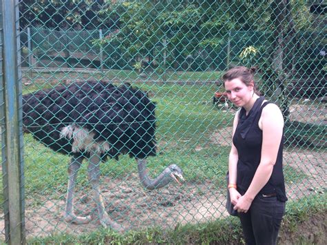 Charlie And Tits Great Adventure