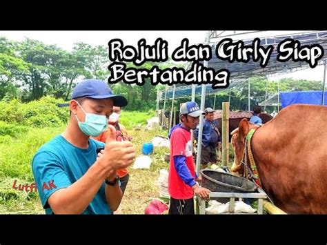 Akhirnya Mas Hermawan Setia Farm Datang Juga Youtube