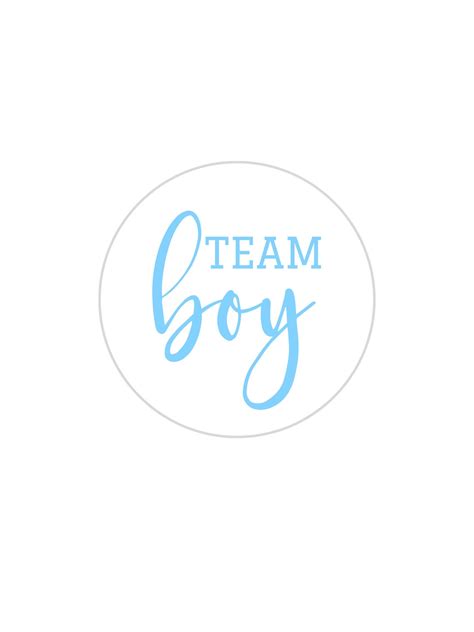 Team Boy Stickers Gender Reveal Stickers Gender Reveal - Etsy