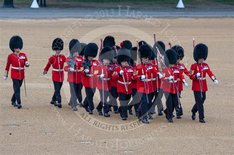Queens Birthday Parade 2015 Trooping The Colour Photos Interactive
