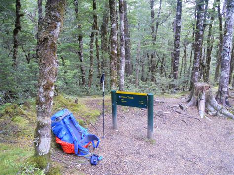 tramping    zealand backcountry nz bush adventures update