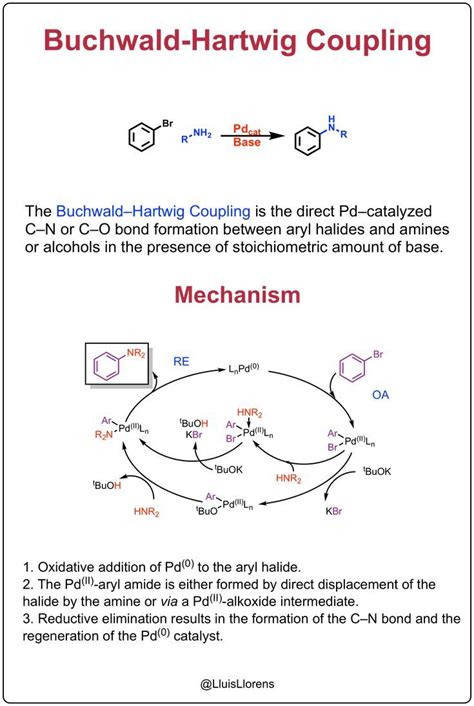 Buchwald Hartwig Coupling