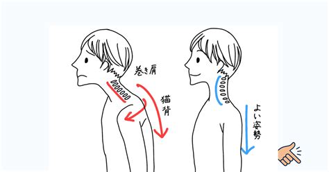 【巻き肩の原因と治し方】ほぐす筋肉と鍛える筋肉を解説 Best Walk