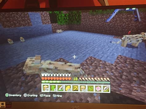how to tame a cat in minecraft 2