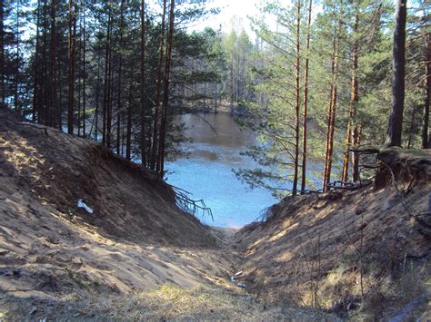 Река Молога (60 фото)
