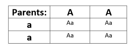 In a monohybrid crossbreed AA x aa, what proportion of homozygotes is ...