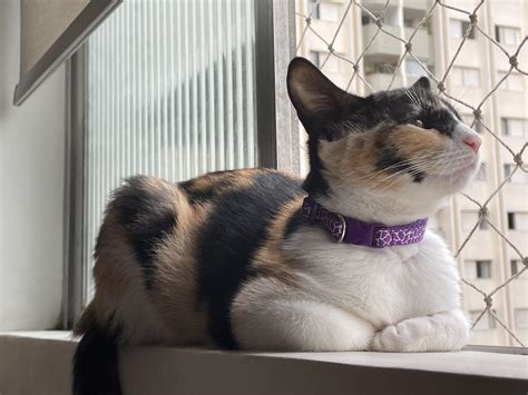 Charlotte is a 'Pretty Skiddy Kitty', but she certainly does love to