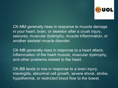 important of creatine kinase enzyme