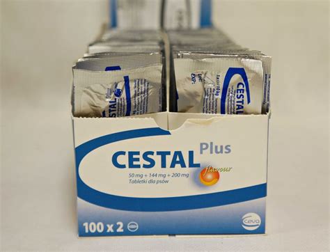 Цестал для собак: инструкция и показания для применения, отзывы, цена