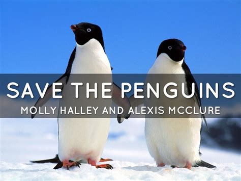 Save The Penguins by PBL Science