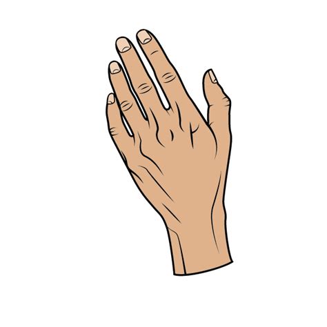 Human hand-1679491151 | Free SVG